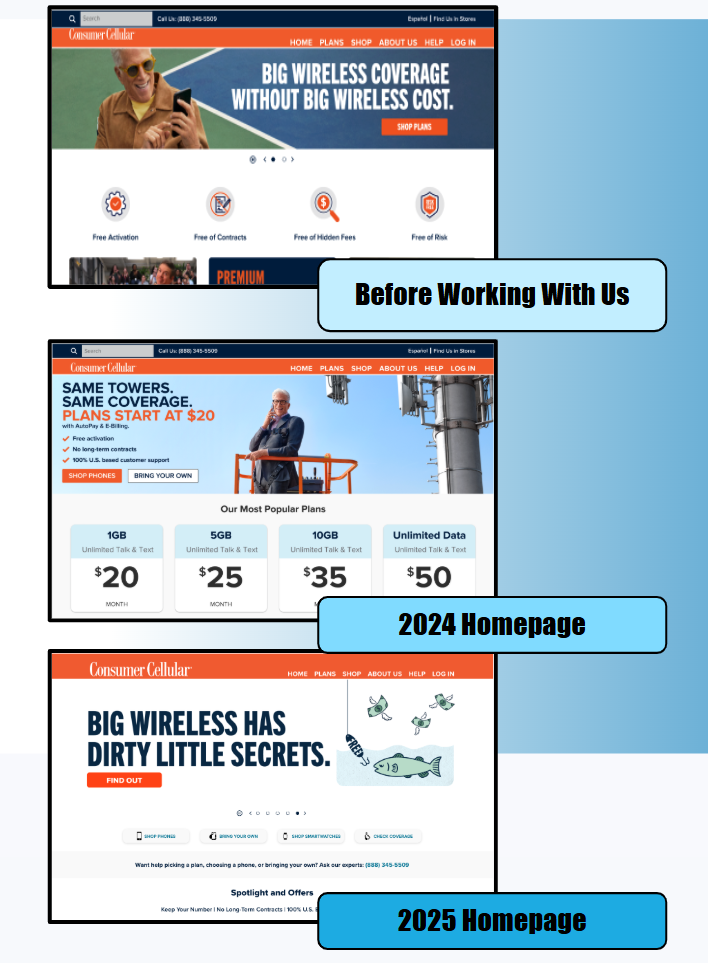Consumer Cellular Work Sample